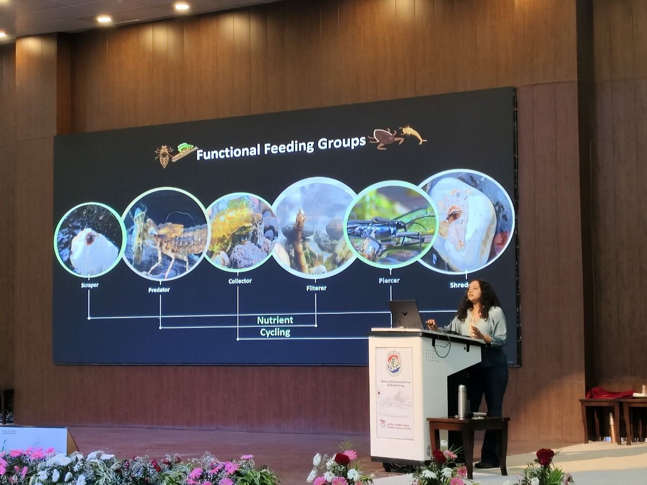 ‘बिग कैट्स’ के संरक्षण के लिए आईसीसीओएन में विचार-मंथन सत्र हुआ आयोजित