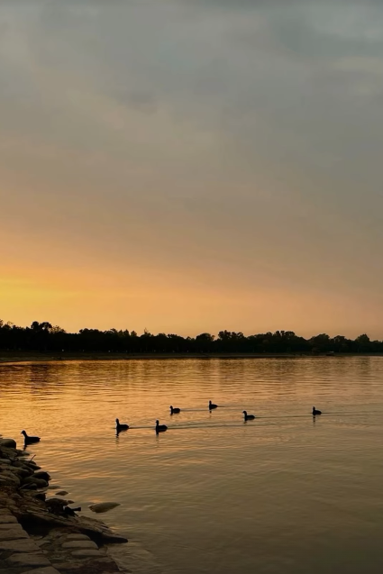 आर्द्रभूमि का दर्जा मिलने से सुखना झील के संरक्षण, प्रवासी पक्षियों की सुरक्षा और पर्यावरणीय पर्यटन को बढ़ावा मिलने की उम्मीद